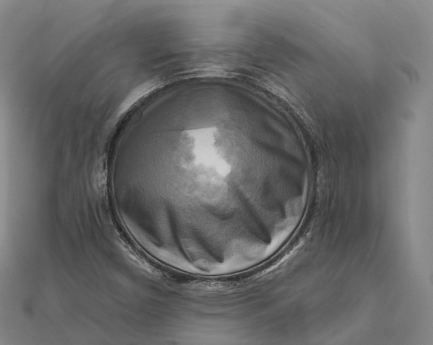 X0000112101450200908251139