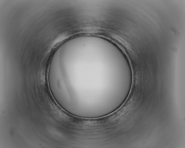 X0000112101451200908251139