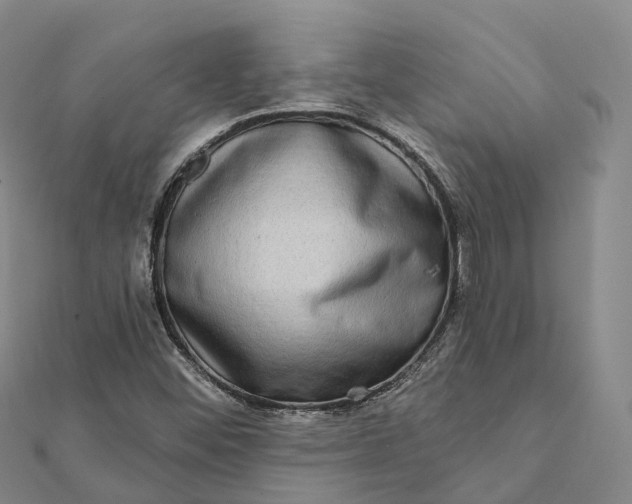 X0000112101452200908251139