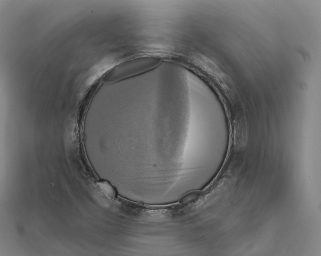 X0000112101453200908251139