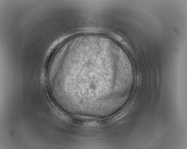 X0000112101454200908251139