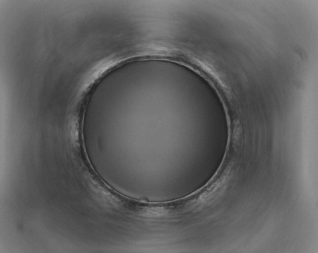 X0000112101455200908251139