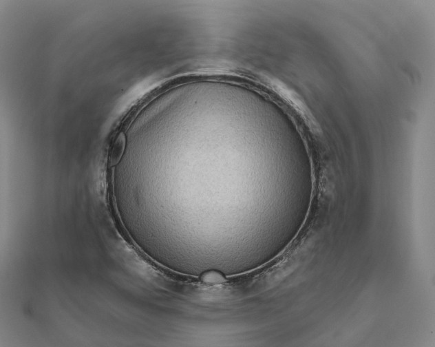 X0000112101456200908251139