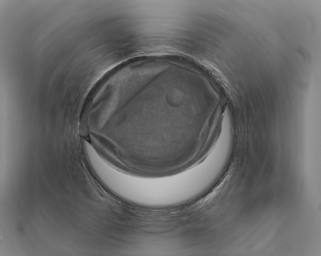 X0000112101457200908251139