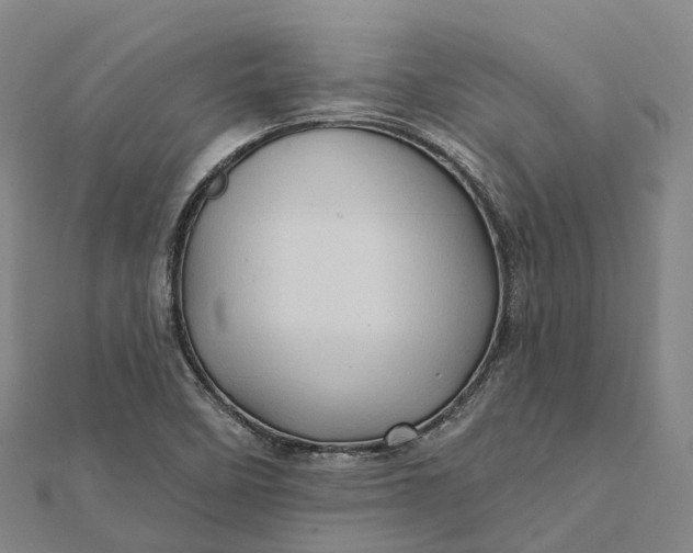 X0000112101458200908251139