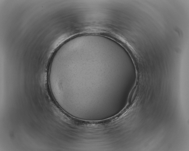 X0000112101459200908251139