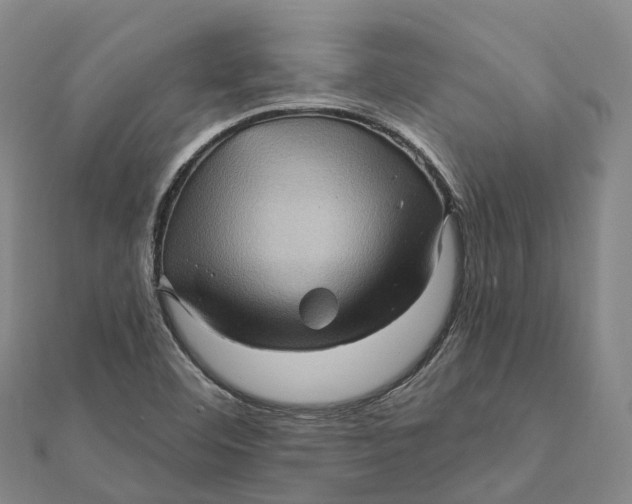 X0000112101460200908251139