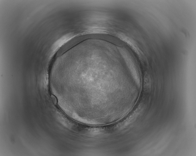 X0000112101461200908251139