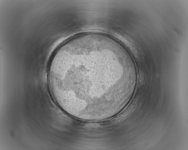 X0000112101462200908251139