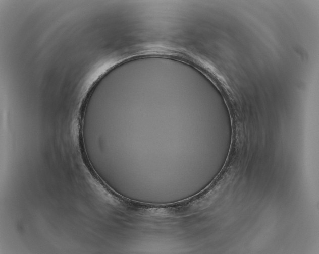 X0000112101463200908251139