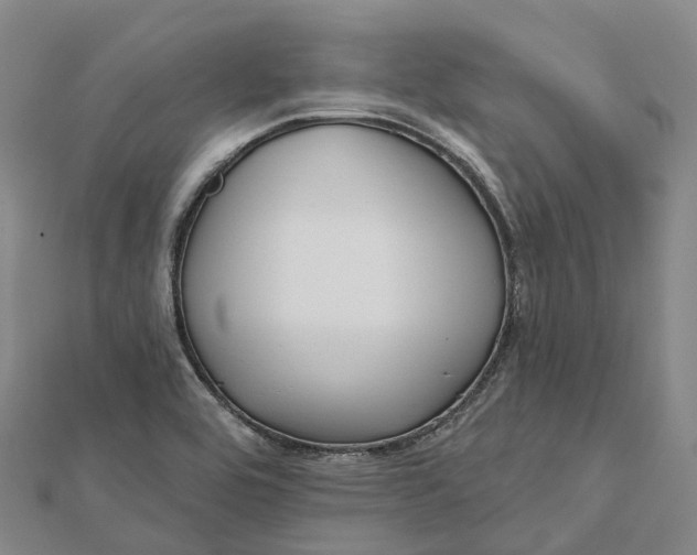 X0000112101464200908251139