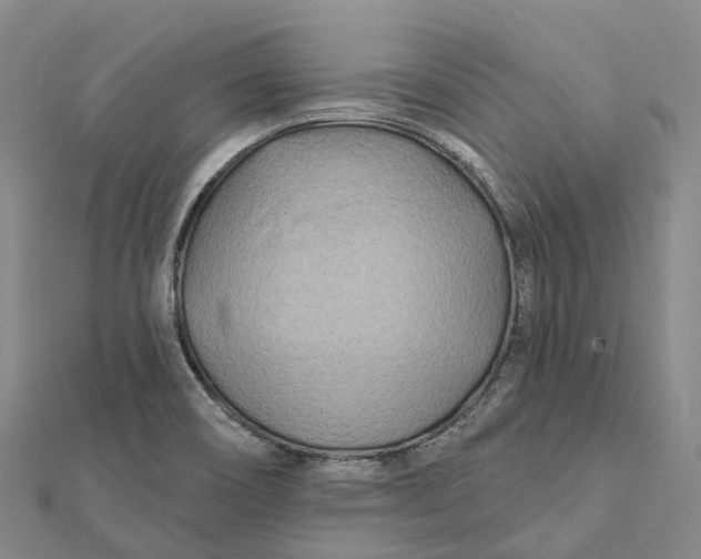 X0000112101466200908251139