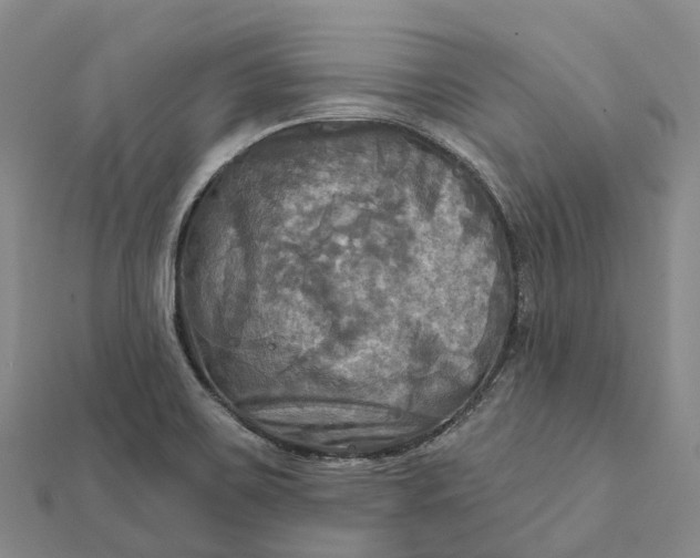 X0000112101467200908251139