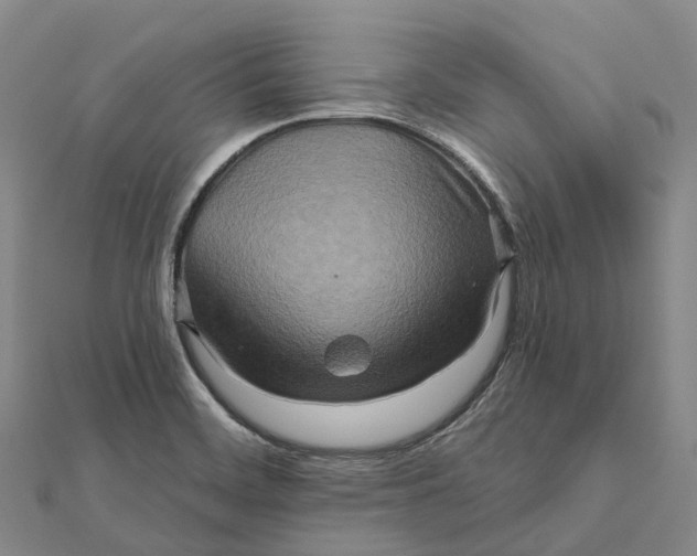 X0000112101468200908251139