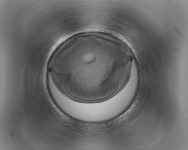 X0000112101469200908251139