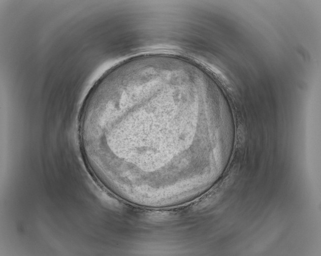 X0000112101470200908251138