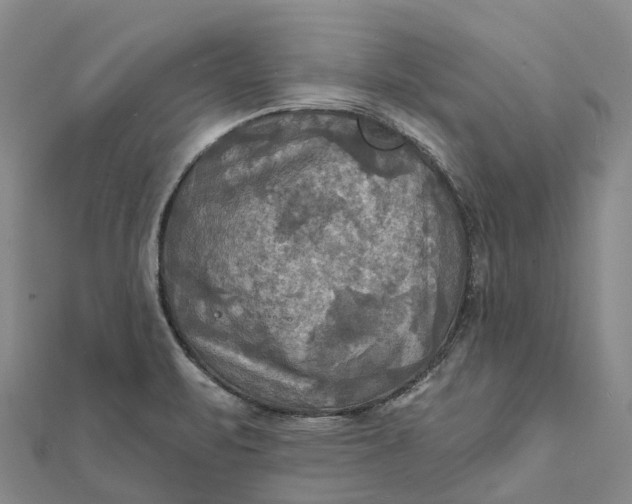 X0000112101471200908251138