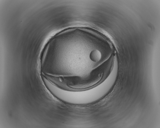 X0000112101472200908251138