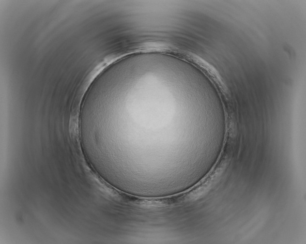 X0000112101473200908251138