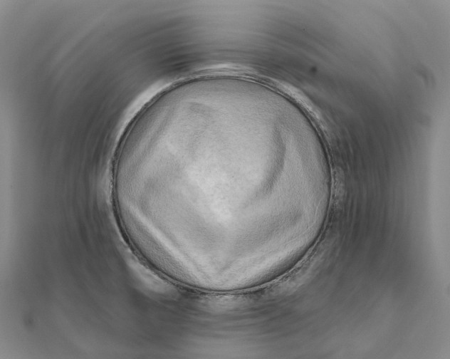 X0000112101474200908251138