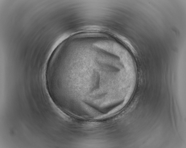 X0000112101475200908251138