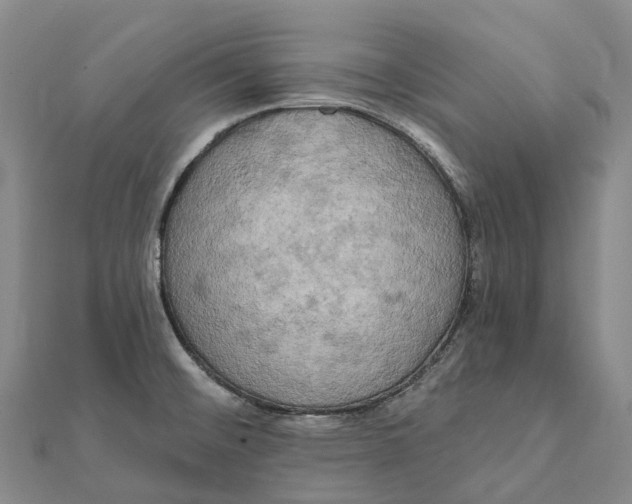 X0000112101476200908251138