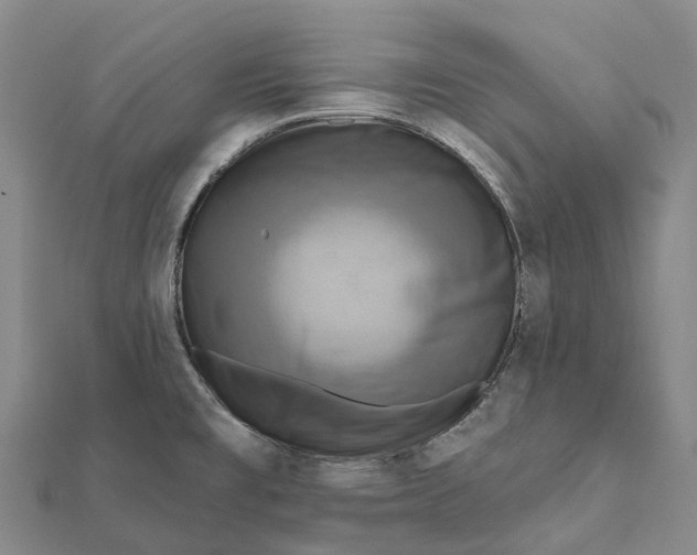 X0000112101477200908251138