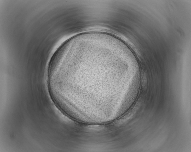 X0000112101478200908251138