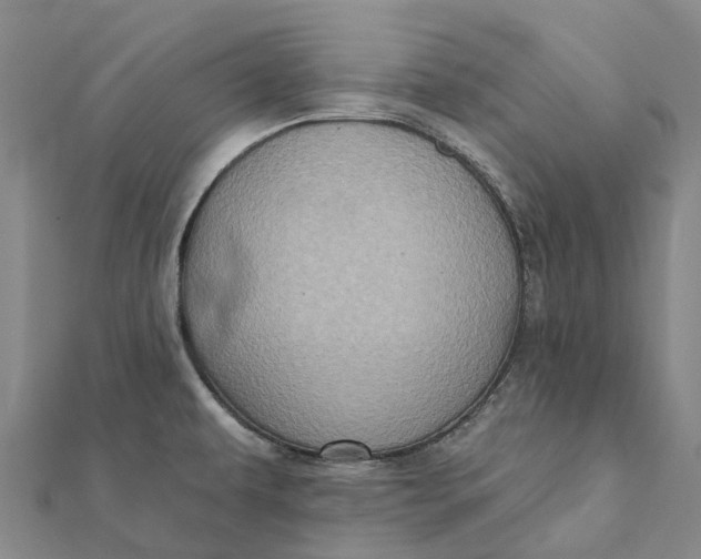 X0000112101479200908251138