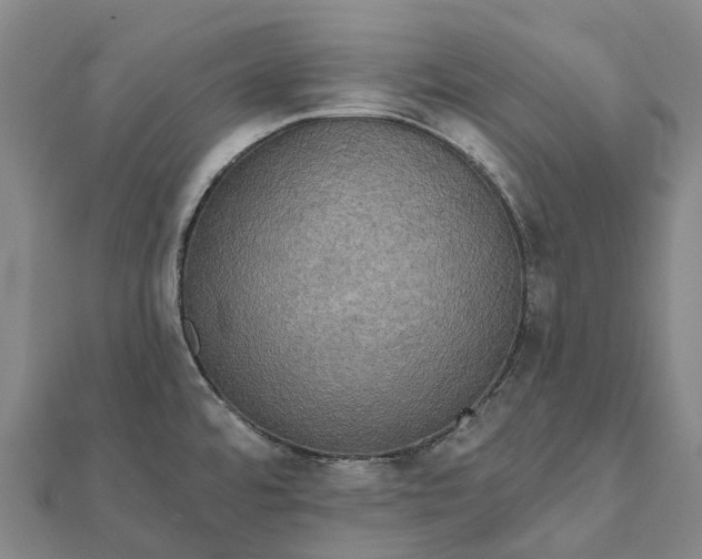 X0000112101480200908251138