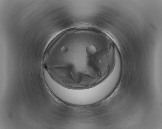 X0000112101481200908251138