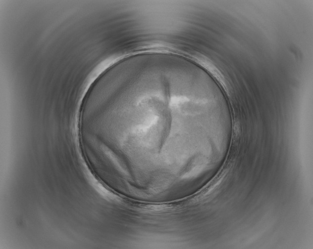 X0000112101482200908251138