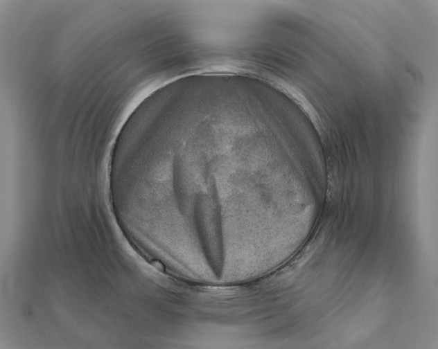 X0000112101483200908251138