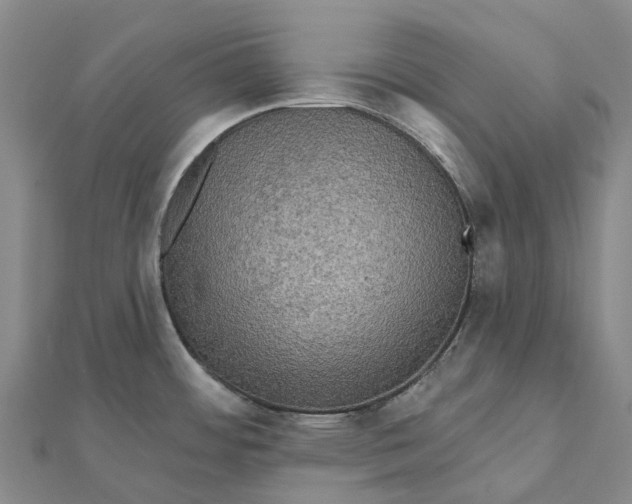 X0000112101484200908251138