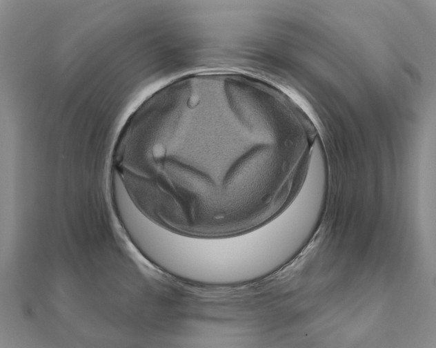 X0000112101485200908251138