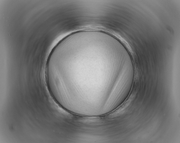 X0000112101486200908251138