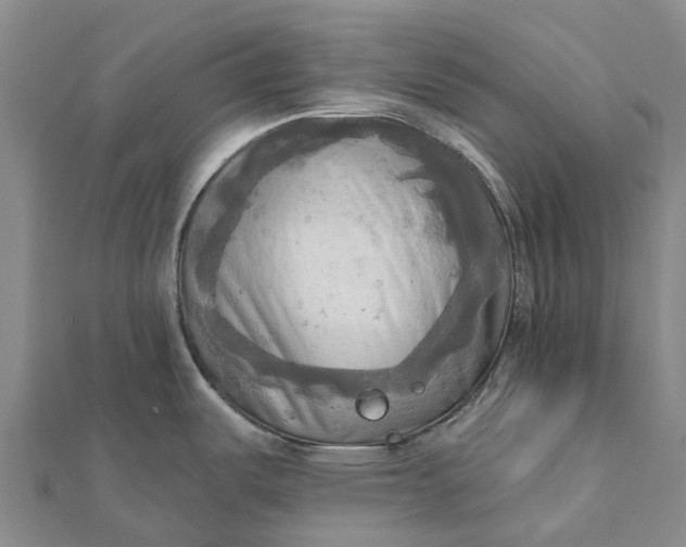 X0000112101487200908251138