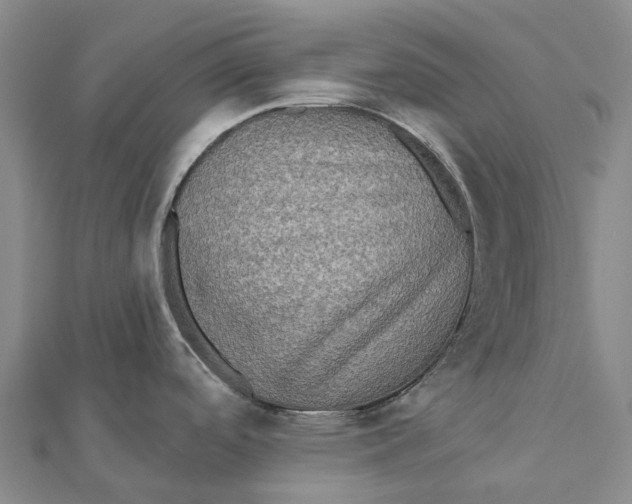 X0000112101488200908251138