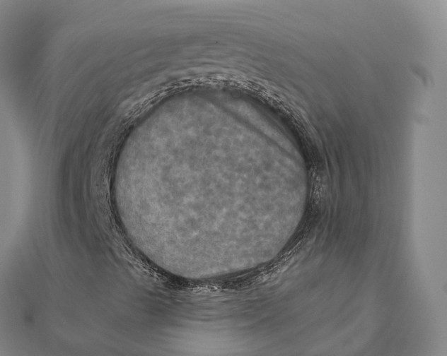 X0000112101489200908251137