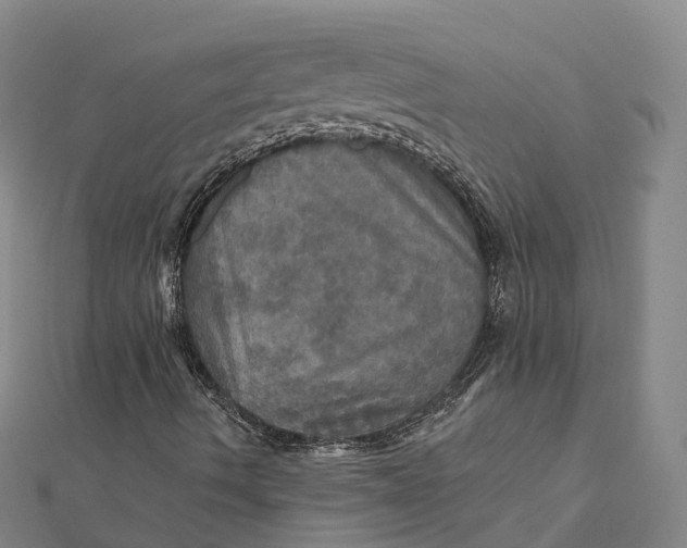 X0000112101490200908251137