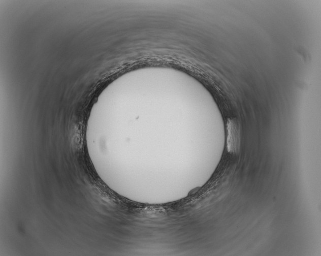 X0000112101491200908251137