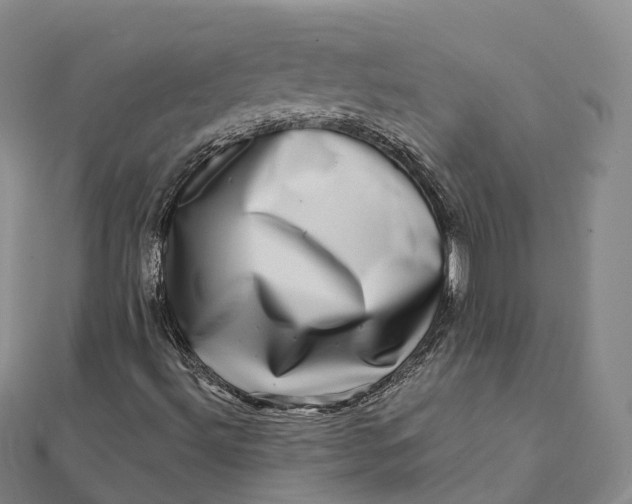 X0000112101492200908251137