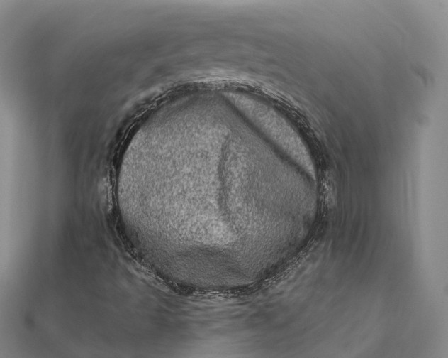 X0000112101493200908251137