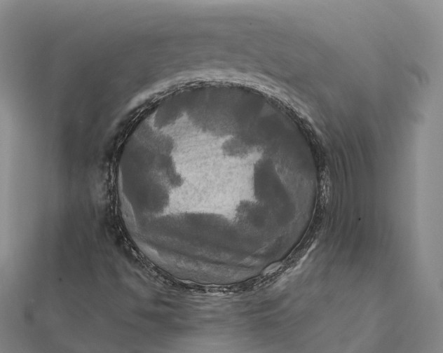 X0000112101494200908251137