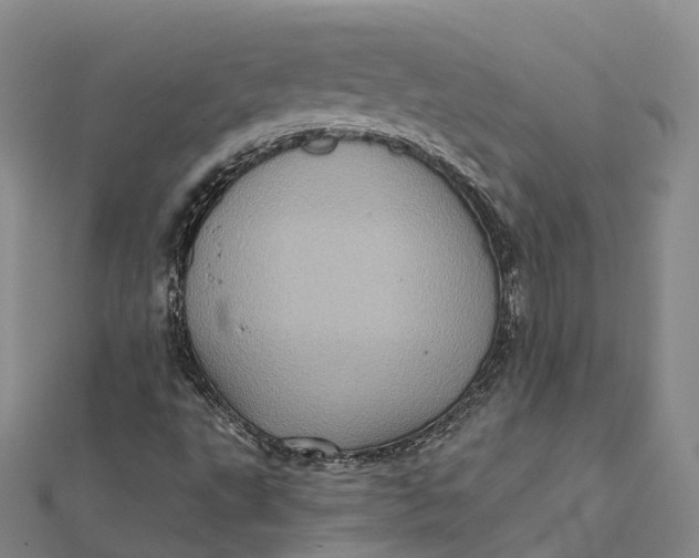 X0000112101495200908251137