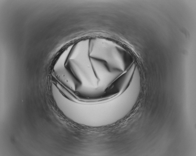 X0000112101496200908251137