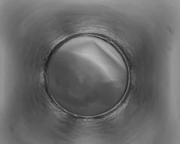 X0000112101497200908251137