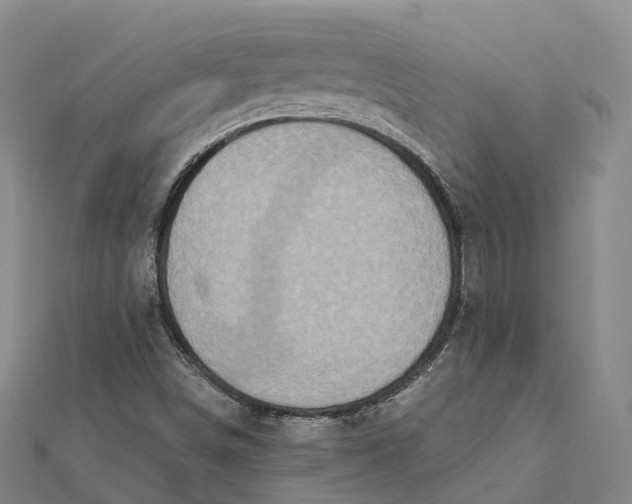 X0000112101498200908251137