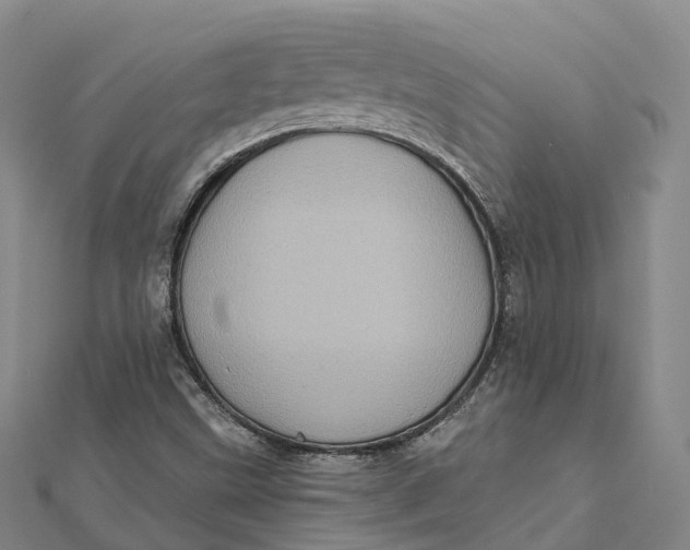 X0000112101499200908251137