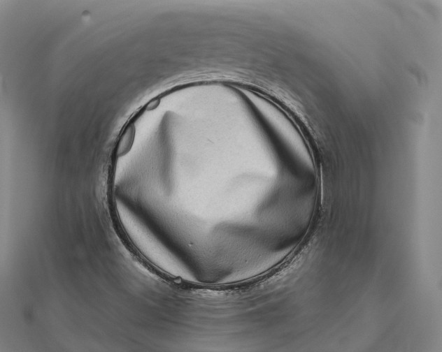 X0000112101500200908251137